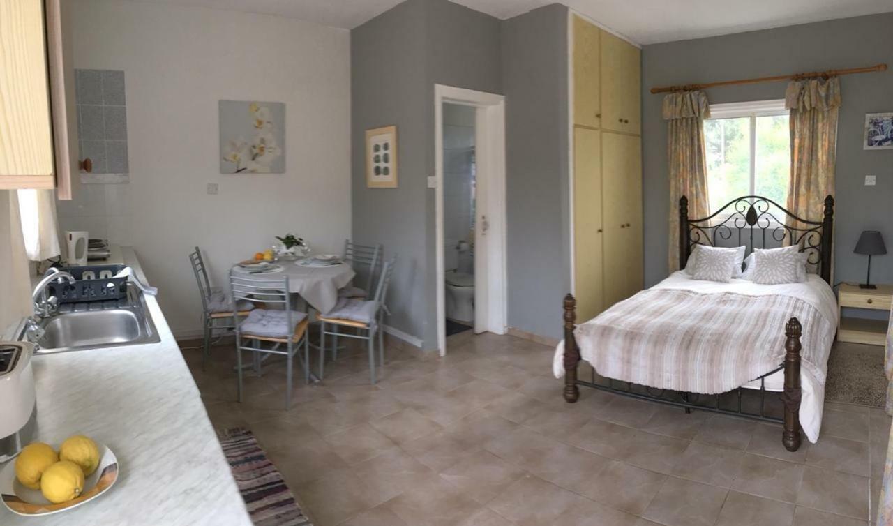 Detached Cozy Studio Paralimni Ngoại thất bức ảnh